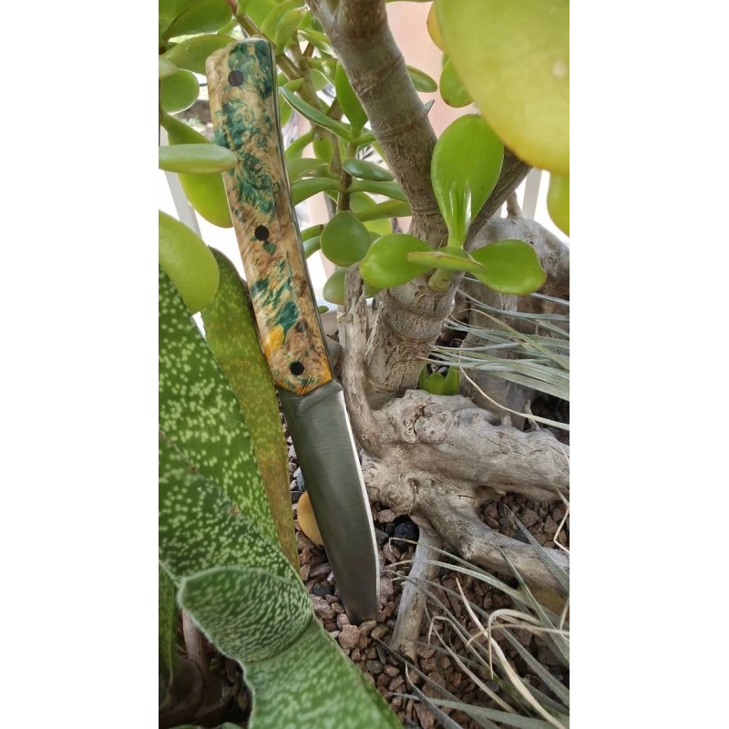 COUTEAU  " LA BORÉALE "