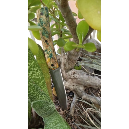 COUTEAU  " LA BORÉALE "