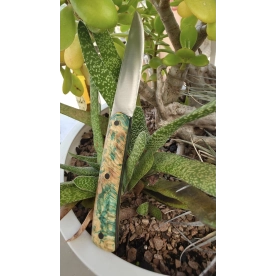 COUTEAU  " LA BORÉALE "