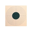 CIBLE 17X17 U.I.T. X100