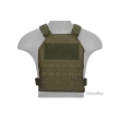 Gilet Standard Issue plate carrier 1000D OD